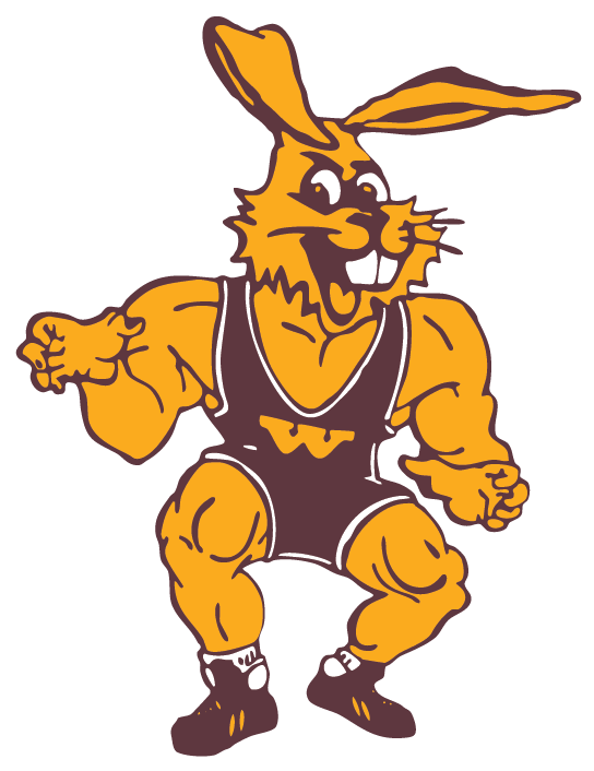 Wrestling Wabasso Public School